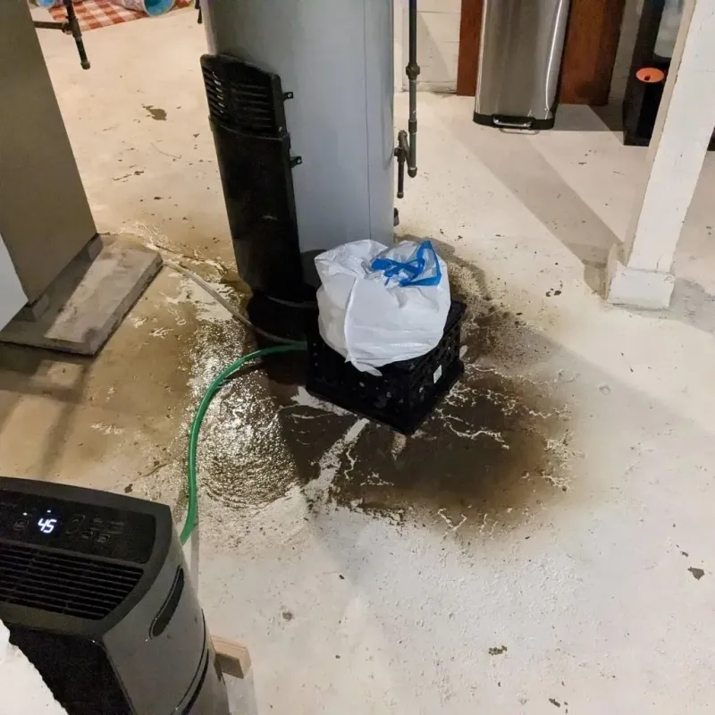 Sewage Backup Cleanup Service in Loxley, AL